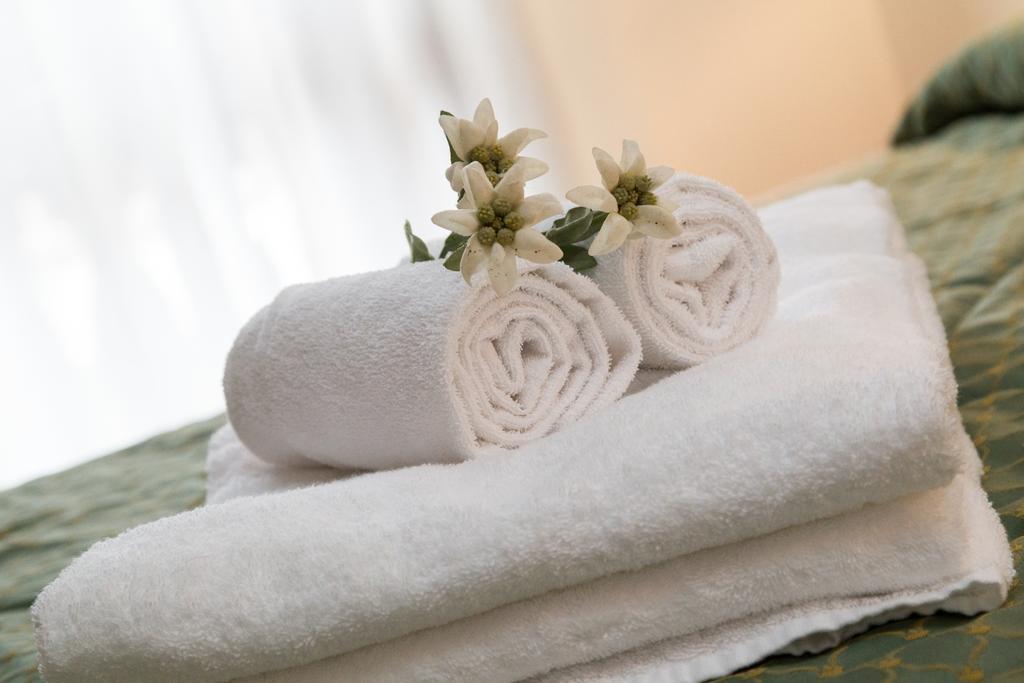 Villa Elena B&B Hotel San Martino Di Castrozza Ngoại thất bức ảnh